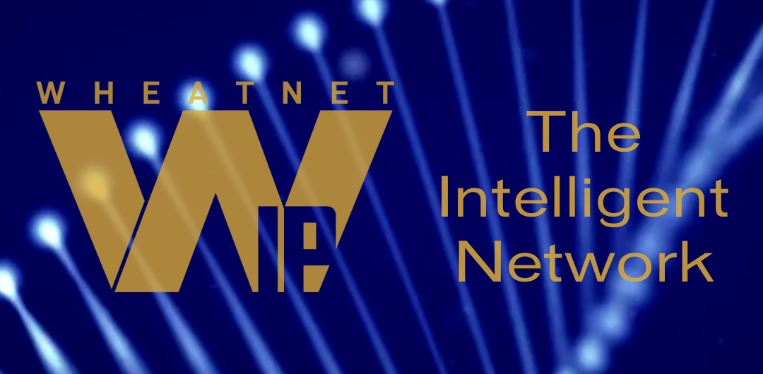 Yeni Kesintisiz Yedekleme, WheatNet IP Ses Ağlarının Güvenilirliğini Artırıyor